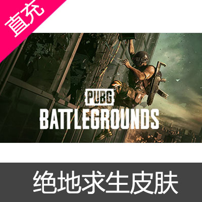 绝地求生 PUBG 皮肤